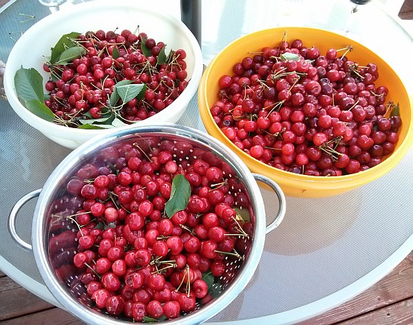 The easiest, Organic Cherry Jam you’ll ever make!