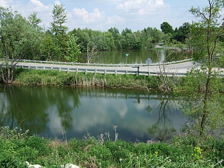 A Puslinch View – Halligan’s Pond