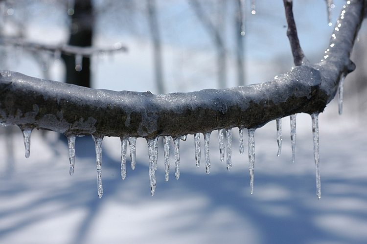 Ice Storm Predicted For Puslinch Tonight – Are You Ready?