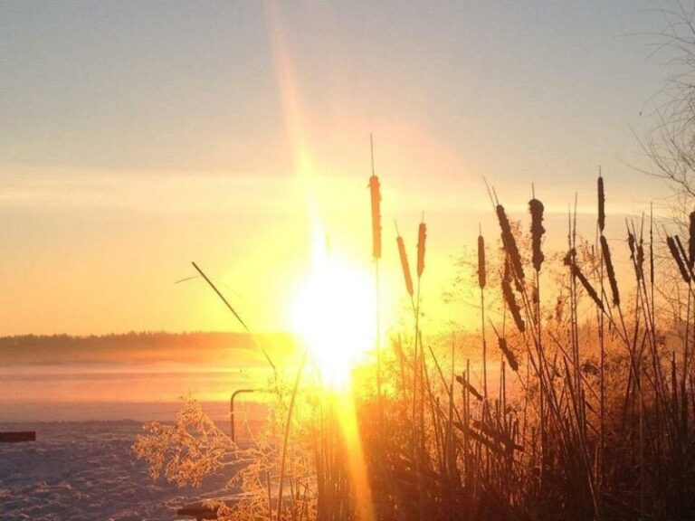 Photo Of The Week: Sunrise on Puslinch Lake