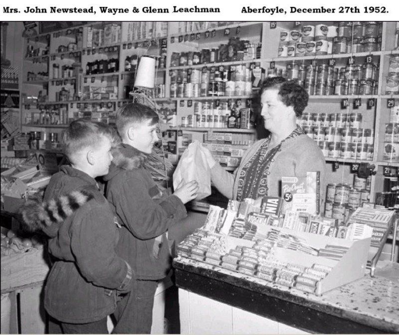 newstead store 1952