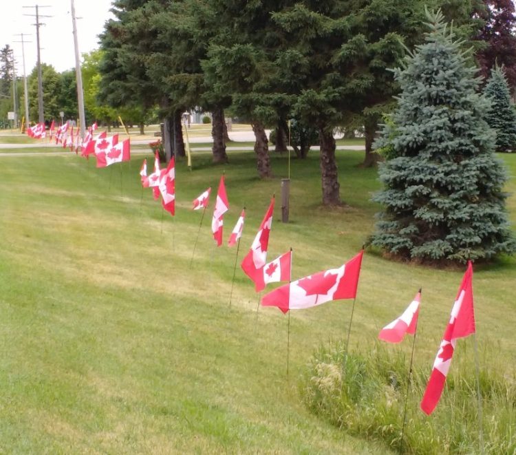Patriotism - Canada Day Flags