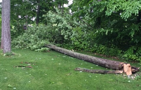 Severe ‘Microburst’ Storm Damage Reported In Puslinch Near 32/34