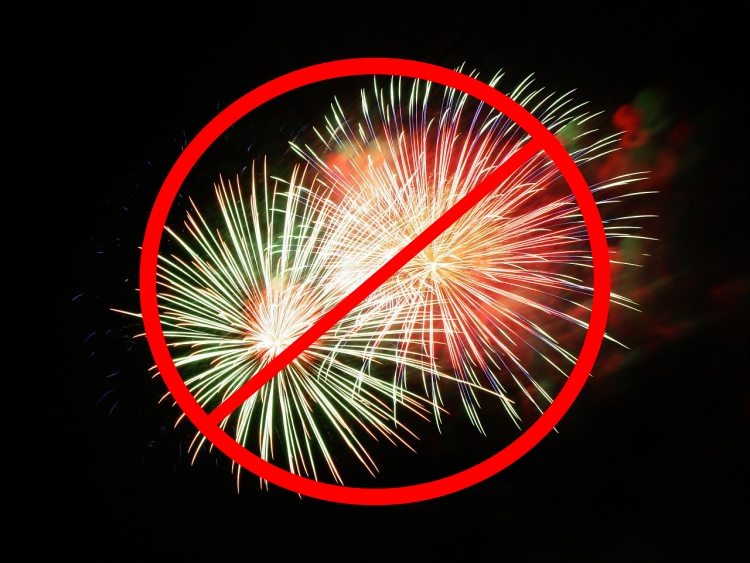 No Fireworks Allowed This Weekend In Puslinch