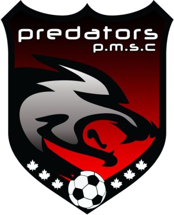 puslinch predators soccer