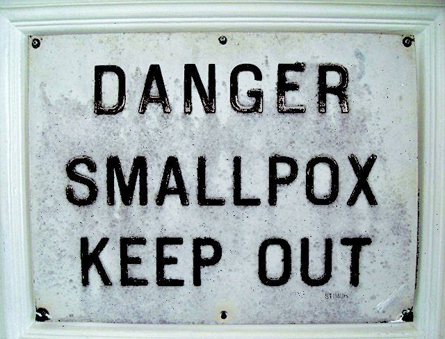 Health Issues Of Puslinch Settlers: Part 7: Smallpox