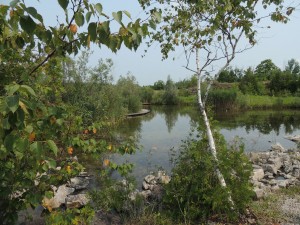 fletcher creek reserve