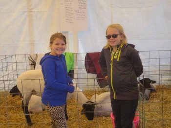 What Happened At The Aberfoyle Fall Fair: Part 3