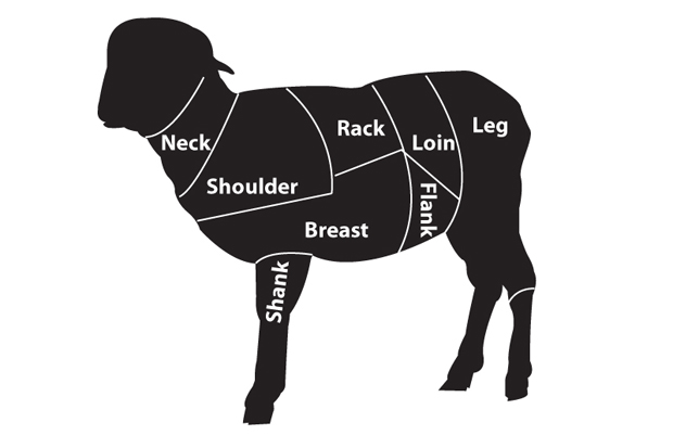 Lamb-Cuts-Diagram