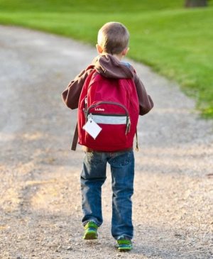 Backpacks, Headaches & Back Pain Advice From Aberfoyle Family Chiropractic