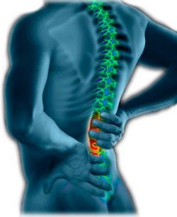 spine and back health