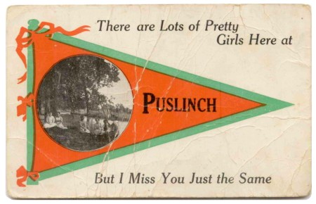 A Postcard From Puslinch c.1913