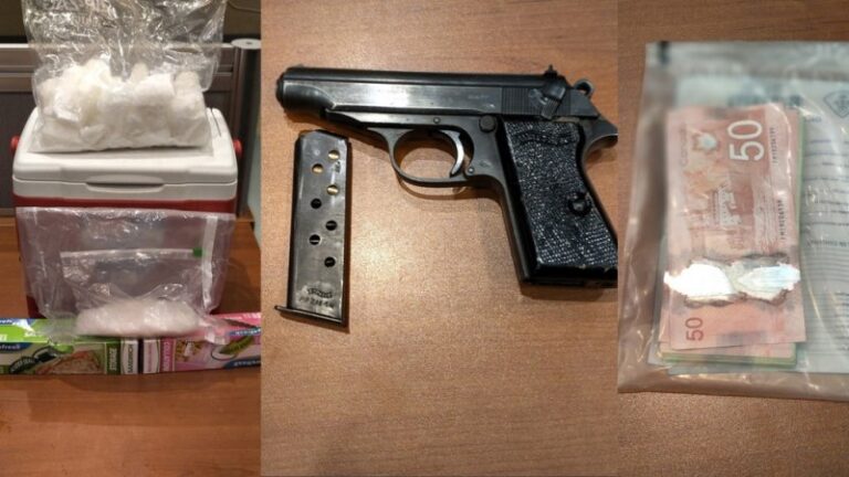 Loaded Handgun And Meth Seized From Driver At RIDE Check In Puslinch