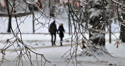 Tips For Winter Walking And How To Boost Your Immune System