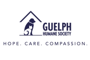 Guelph Humane Society Launches Contactless Virtual Adoption