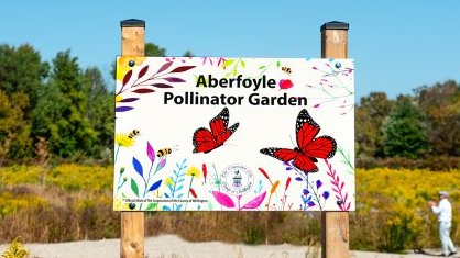 Wellington County Open Pollinator Garden In Aberfoyle