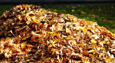 Leaf And Yard Waste Collection Begins
