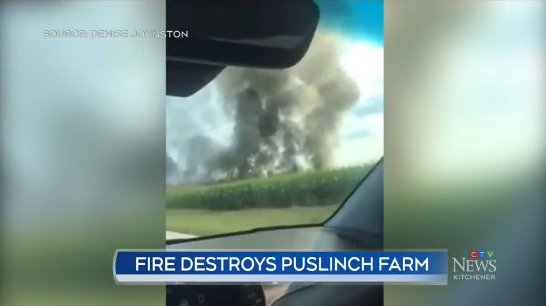 ‘Really, Really Insane’: Massive Fire Takes Down Barn On Puslinch Farm