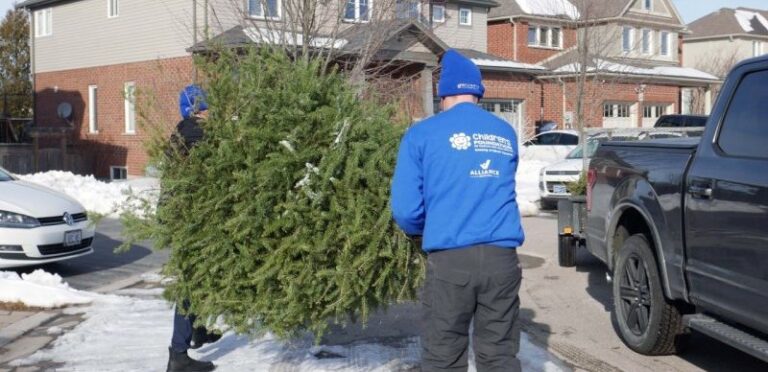 Natural Christmas Trees Collected, Returned To Nature