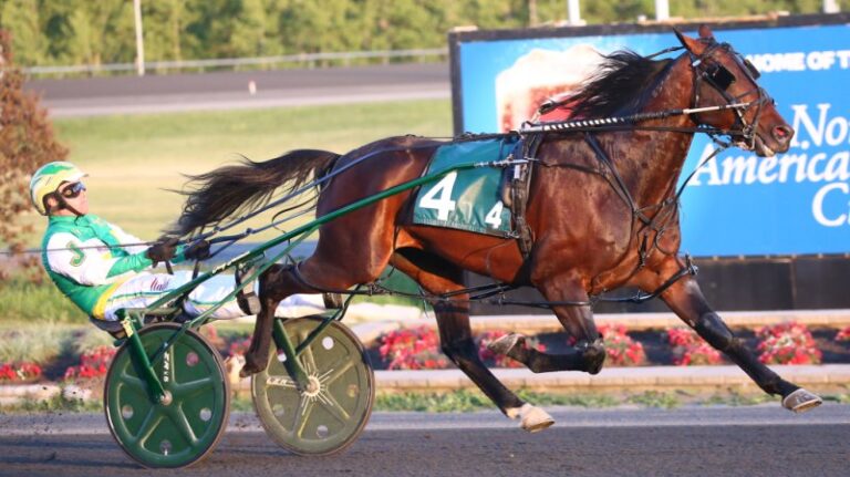 A Standardbred Horse From Puslinch, Considered The Fastest Ever Is Retiring