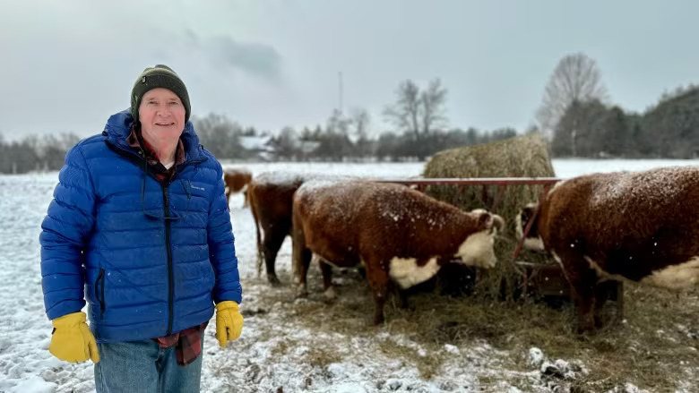 Dave Braden has 26 beef cattle graze on hay and grass on his Puslinch, Ont., farm, just outside of Hamilton. (Samantha Beattie/CBC)